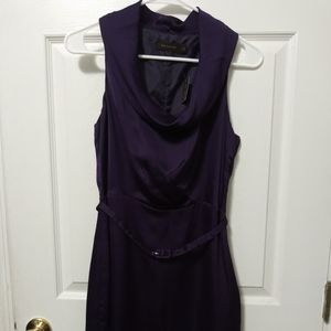 The Limited Purple Dress